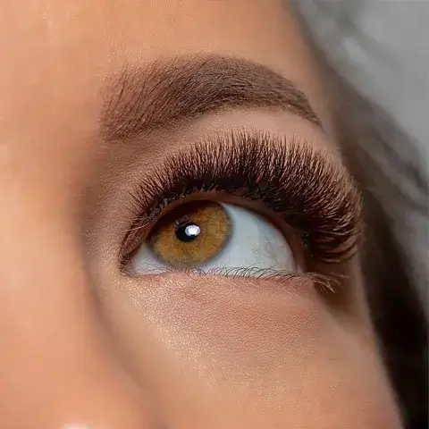 lash